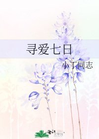 寻爱七日